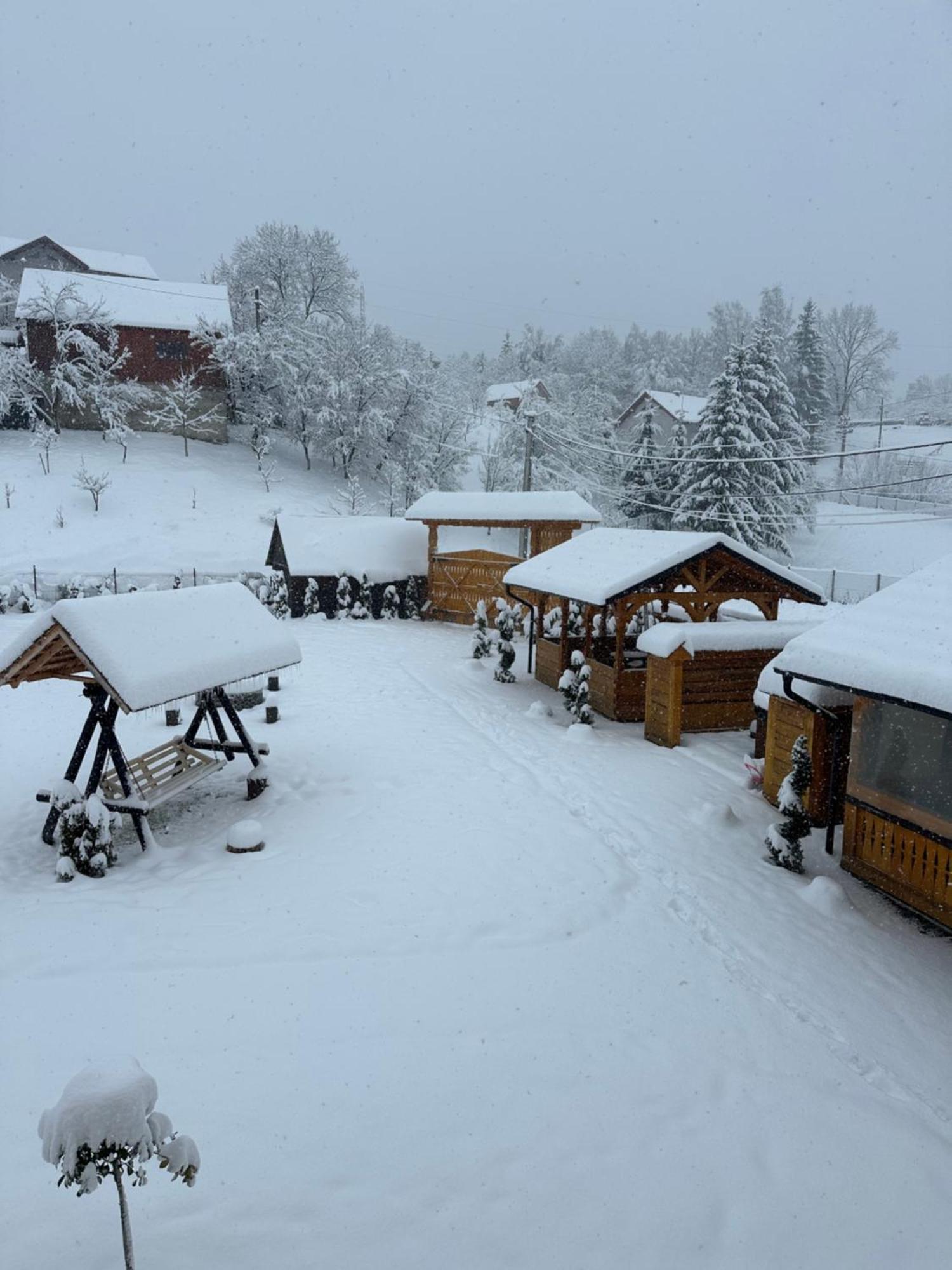 Popasul Din Vale Hotell Moisei Exteriör bild